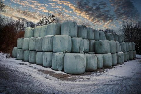 A large stack of wrapped hay bales arranged in a pyramid shape on a snowy f.. Stock Photos