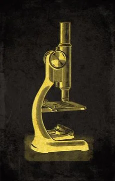Large Stage Auxiliary Laboratory Compound Microscope Scientific Instrument .. Stock Illustration