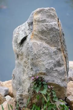 A large stone, a boulder against the background of water Stock Photos