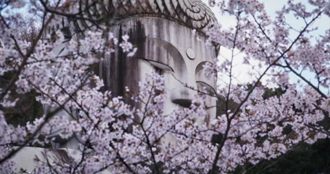 Large Stone Buddha Face Framed by Cherry Blossom Branches Close-Up Stock Footage 344696369