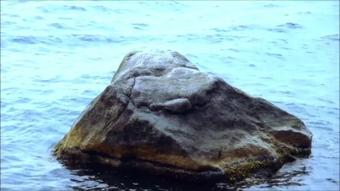 Large stone in a calm sea Stock Footage 77863015