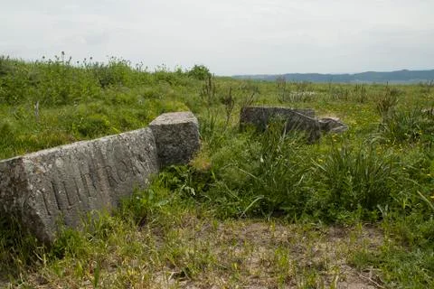 Large stone in grass with partial Latin inscription Foto stock