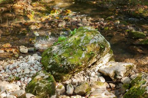 Large stone overgrown with moss Stock Photos