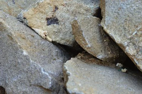 Large stone Stock Photos