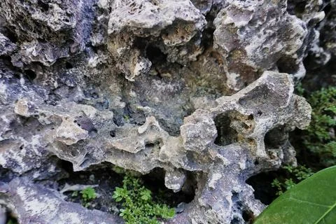 Large stone Stock Photos