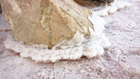 A large stone with salt deposits. Stock Footage 79603686