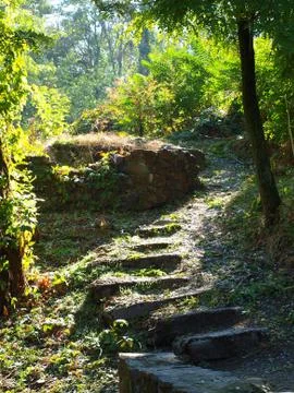 Large stone steps surrounded by trees on the path in the park Stock Photos
