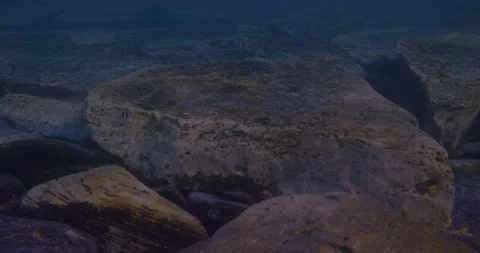 Large Stone In Underwater Stock Footage 317412356