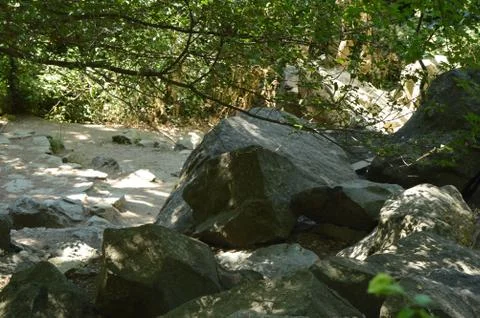 Large stones along the forest path in the thickets of trees Foto stock