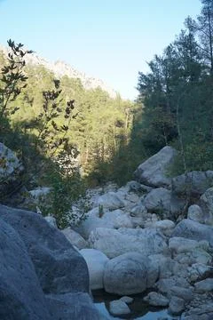 Large stones in the forest Stock Photos