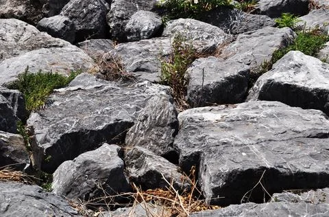 Large stones with grass in between. Stock Photos