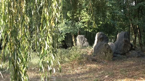 Large stones in the park between the trees Stock Footage 119103680
