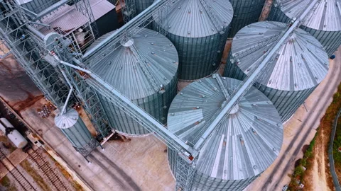 Large storage silos at a grain facility on a sunny day. These silos are used for Stock Footage 342734922