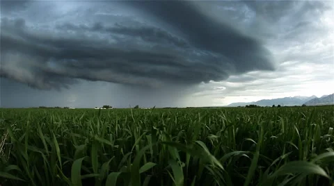 A large storm on the horizon Stock Footage 60756720