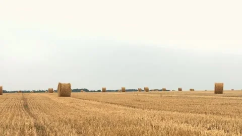 Large Straw Roll in Harvested Wheat Field Stock-Footage 340340702