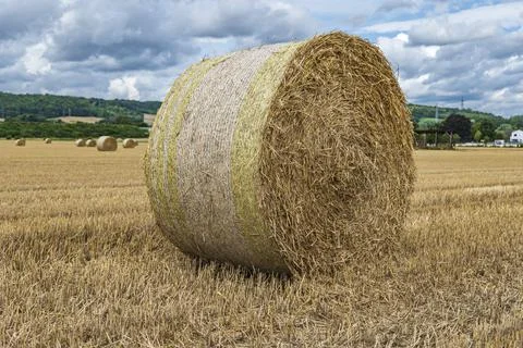 A large straw roll on a stubble field Stock Photos