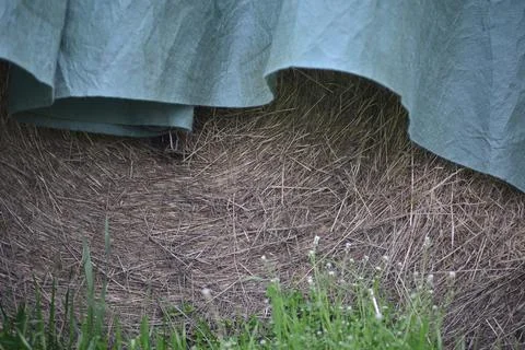 Large straw round pale under green tarpaulin Stock Photos