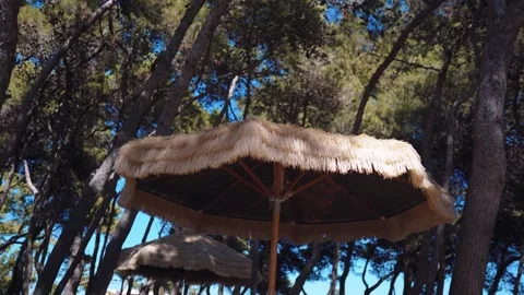 Large straw umbrellas waving in breeze wind on high trees and sky background Video stock 159602353