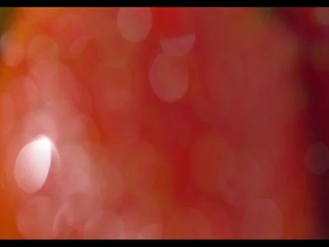 Large strawberry in a focus, seeds and water drops are clearly visible Stock Footage 74198508