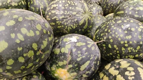 Large striped watermelons in supermarket Video stock 287827341