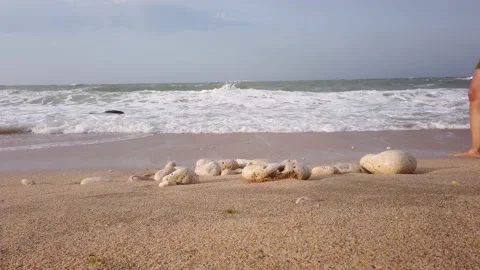 Large strong waves with white foam. Sandy beach with large stones. Windy, cloudy Vidéo 138531502