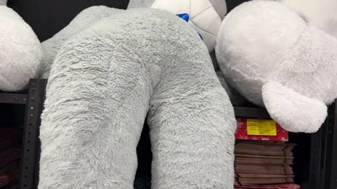 Large stuffed teddy bears displayed on store shelves Stock Footage 320267294