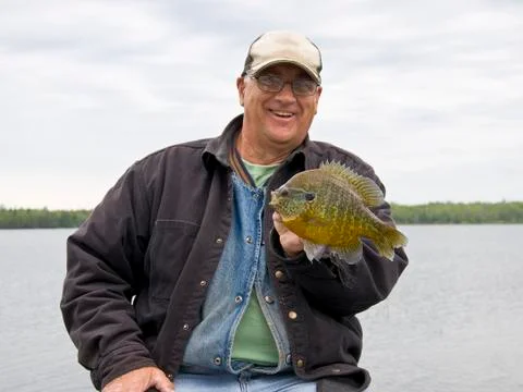 Large Sunfish Stock Photos