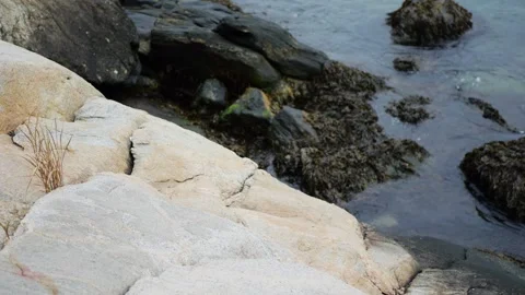 Large sunlit rocks and dark mossy boulders meet gentle ocean... Stock Footage 317702697