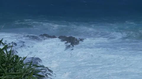 Large Surf Breaking on Snapper Rocks, QLD Stockbeeldmateriaal 10600133
