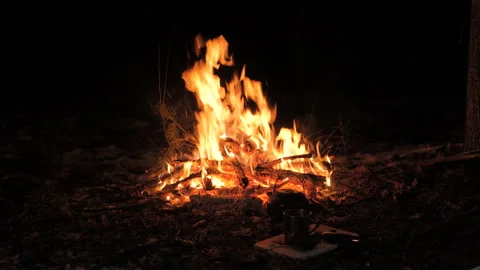Large Survival Fire in Forest Camp Video stock 311569501
