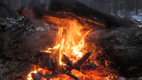 Large Survival Fire with Leaning Logs in Winter Forest Camp Stock Footage 307855801