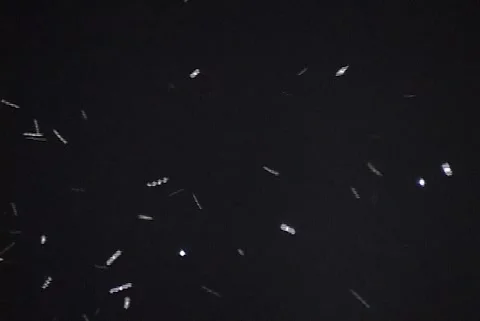 Large swarm of bugs at night with lights Stock Footage 192543474