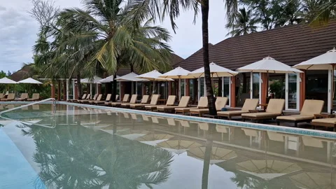 A large swimming pool with sun beds surrounded by palm trees on the ocean Stock Footage 313927468
