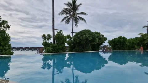 A large swimming pool with sun beds surrounded by palm trees on the ocean Stock Footage 313988733