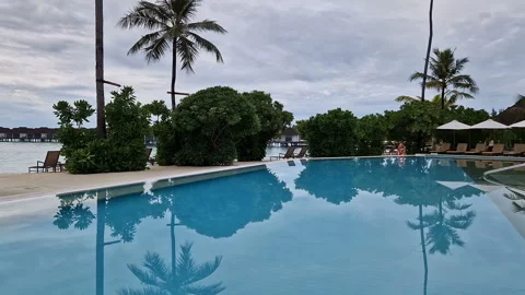 A large swimming pool with sun beds surrounded by palm trees on the ocean Stock Footage 313988822