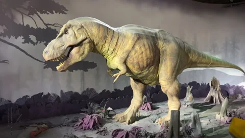 Large T-Rex dinosaur display inside the Natural History Museum of London Stock Footage 322518700