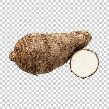 Large taro root with round slice isolated on transparent background organic.. Фото