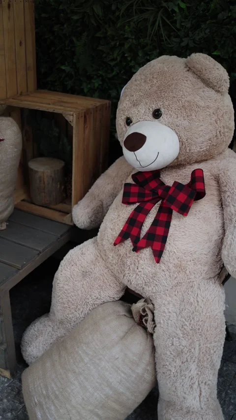 Large teddy bear displayed in cozy shop interior as gift decor Stock Footage 323700832