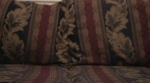 Large Teddy Bear Gift Stock Footage 10772278