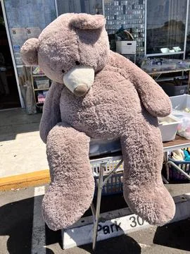 Large Teddy Bear Foto stock