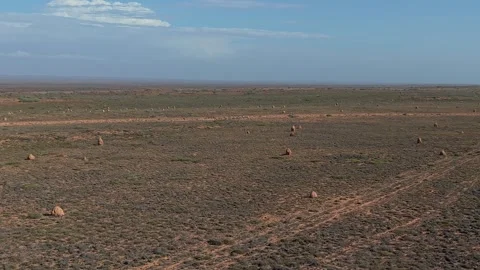 Large Termite Mounds on Arid Grassland Plain, Insect Soil Architecture Stock-Footage 334884605