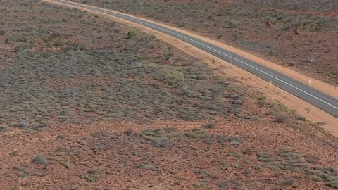 Large Termite Mounds on Arid Grassland Plain, Insect Soil Architecture Stock-Footage 334884957