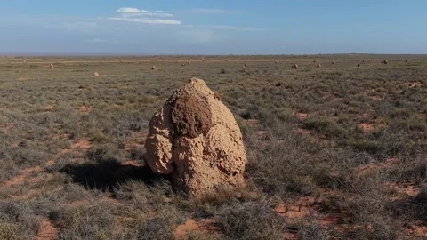 Large Termite Mounds on Arid Grassland Plain, Insect Soil Architecture Stock-Footage 334884975