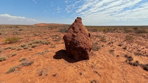 Large Termite Mounds on Arid Grassland Plain, Insect Soil Architecture Stock-Footage 334885039
