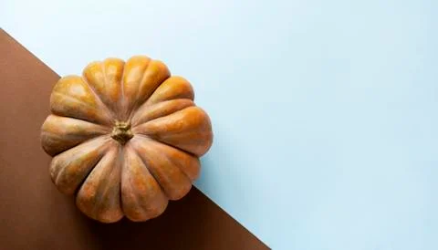 Large textured ripe pumpkin on a simple geometric background with place for text Foto stock