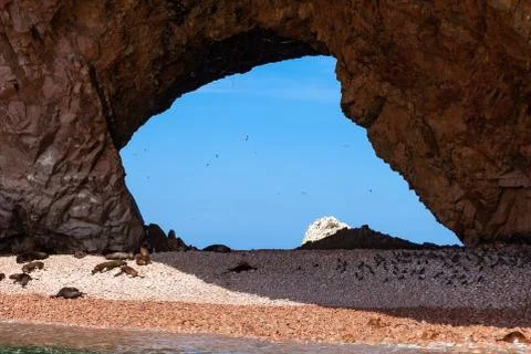 Large through grotto with a beach on which sea lions lie. Through the grotto you Stock Photos