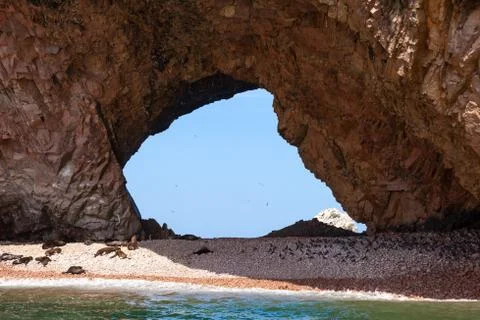 Large through grotto with a beach on which sea lions lie. Through the grotto Stock Photos