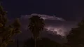 large thunderhead flashes behind palm tree wide time lapse HD 影片