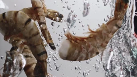 Large tiger prawns are boiled in boiling water with air bubbles. Vertical video. Stock Footage 273076632