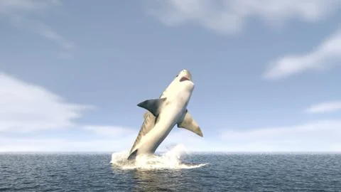 A large tiger shark leaps out of the water with a wide open mouth full of sharp Stock Illustration